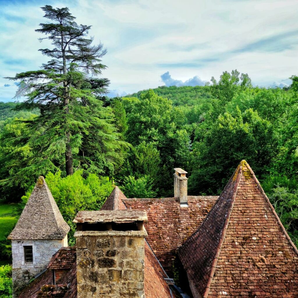 Sur les toits de Saint-Léon, Saint-Léon-sur-Vézère, France
